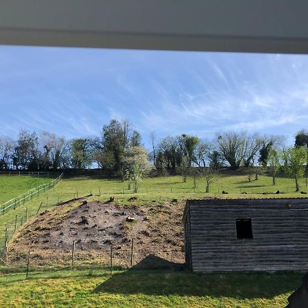 Vila L Exaltante Gesves Exteriér fotografie